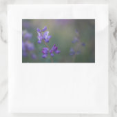 Sticker Rectangulaire Champ de Lupine (Sac)