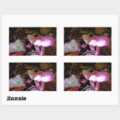 Sticker Rectangulaire Champignons roses (Feuille)