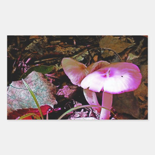 Sticker Rectangulaire Champignons roses (Devant)