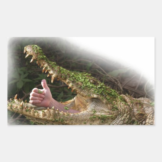 Sticker Rectangulaire champion du monde cache-cache (Devant)