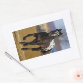 Sticker Rectangulaire Chargeur (Enveloppe)