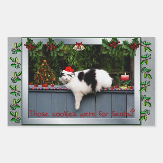 Sticker Rectangulaire Chat amateur de biscuits (Devant)