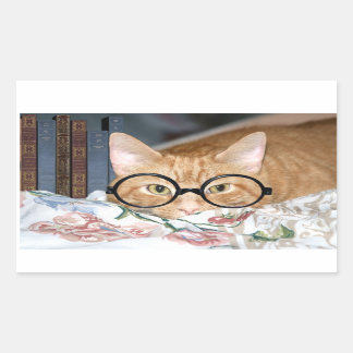 Sticker Rectangulaire Chat avec lunettes et livres