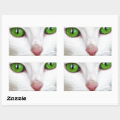 Sticker Rectangulaire Chat blanc aux yeux vert émeraude (Feuille)