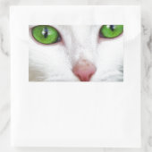 Sticker Rectangulaire Chat blanc aux yeux vert émeraude (Sac)