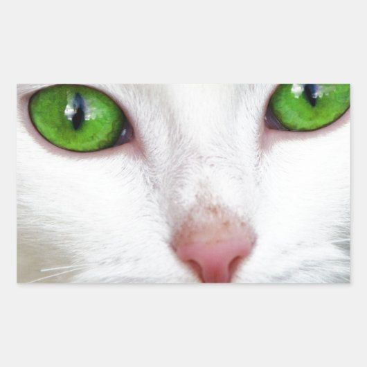 Sticker Rectangulaire Chat blanc aux yeux vert émeraude (Devant)