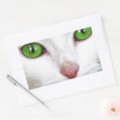 Sticker Rectangulaire Chat blanc aux yeux vert émeraude (Enveloppe)