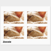 Sticker Rectangulaire Chat couché (Feuille)