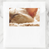 Sticker Rectangulaire Chat couché (Sac)
