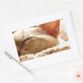 Sticker Rectangulaire Chat couché (Enveloppe)