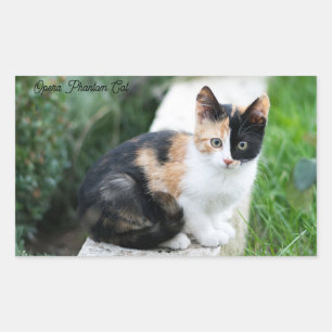 Sticker Rectangulaire Chat Fantôme de l'Opéra
