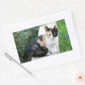 Sticker Rectangulaire Chat Fantôme de l'Opéra (Enveloppe)