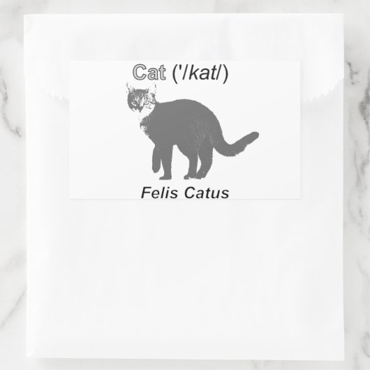 Sticker Rectangulaire Chat Felis Catus (Sac)