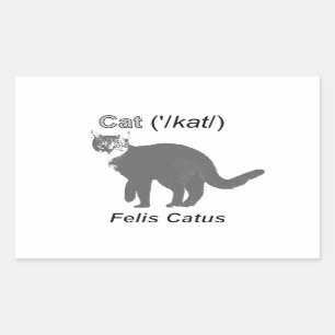 Sticker Rectangulaire Chat Felis Catus