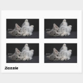 Sticker Rectangulaire Chat gris mignon (Feuille)