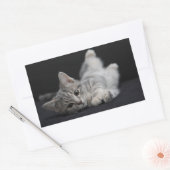 Sticker Rectangulaire Chat gris mignon (Enveloppe)