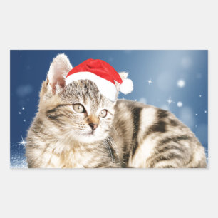 Sticker Rectangulaire Chat mignon portant chapeau de Noël rouge neige