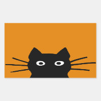 Chat noir drôle