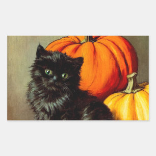 Sticker Rectangulaire Chat noir vintage d'Halloween et Citrouilles