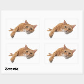 Sticker Rectangulaire Chat Orange Posé En Bas (Feuille)