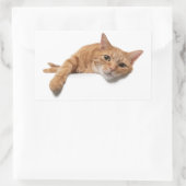 Sticker Rectangulaire Chat Orange Posé En Bas (Sac)