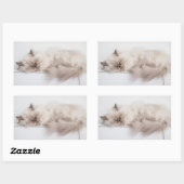 Sticker Rectangulaire Chat perse (Feuille)