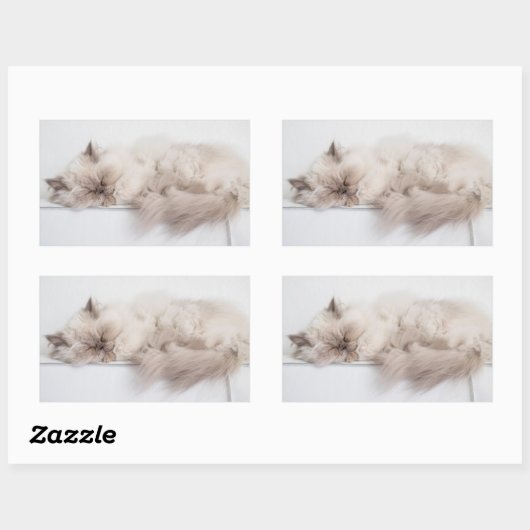 Sticker Rectangulaire Chat perse (Feuille)