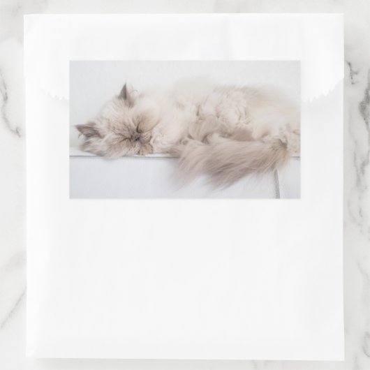 Sticker Rectangulaire Chat perse (Sac)