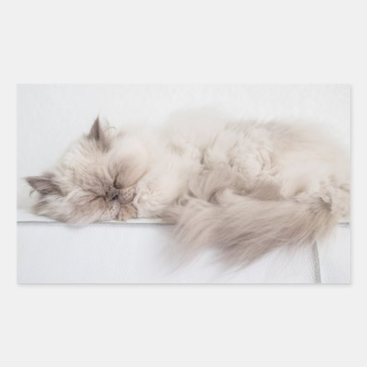 Sticker Rectangulaire Chat perse (Devant)