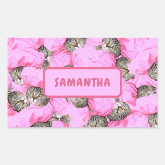 Sticker Rectangulaire Chat rose Funny personnalisé (Devant)