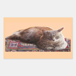 STICKER RECTANGULAIRE CHAT TURQUE SUR LA VIEILLE MOQUETTE