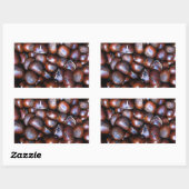 Sticker Rectangulaire Châtaignes (Feuille)