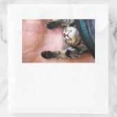 Sticker Rectangulaire Chaton à neige (Sac)