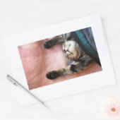 Sticker Rectangulaire Chaton à neige (Enveloppe)
