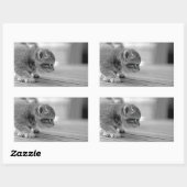 Sticker Rectangulaire Chaton de acroupissement (Feuille)
