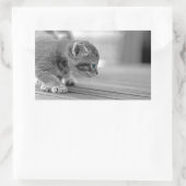 Sticker Rectangulaire Chaton de acroupissement (Sac)