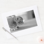 Sticker Rectangulaire Chaton de acroupissement (Enveloppe)