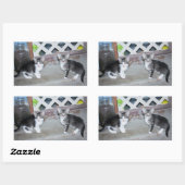 Sticker Rectangulaire Chatons (Feuille)