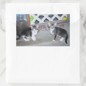 Sticker Rectangulaire Chatons (Sac)