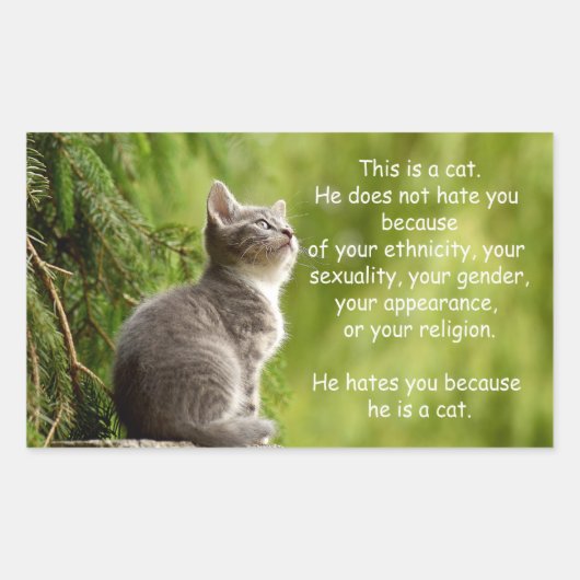 Sticker Rectangulaire Chats (Devant)