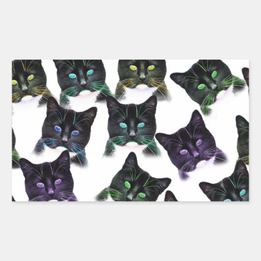 Sticker Rectangulaire Chats cool (Devant)