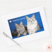 Sticker Rectangulaire Chats Maine Coons (Enveloppe)