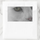 Sticker Rectangulaire Chats noirs et blancs (Sac)