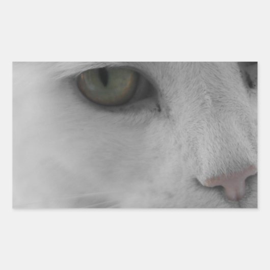Sticker Rectangulaire Chats noirs et blancs (Devant)