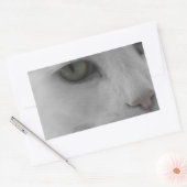 Sticker Rectangulaire Chats noirs et blancs (Enveloppe)