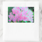Sticker Rectangulaire Chaud rose et blanc Peppermenthe Twist Garden Phlo (Sac)