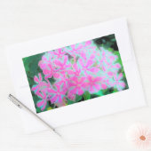 Sticker Rectangulaire Chaud rose et blanc Peppermenthe Twist Garden Phlo (Enveloppe)