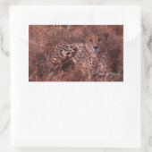 Sticker Rectangulaire Cheetah Stare (Sac)