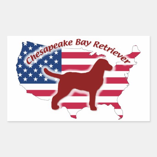 Sticker Rectangulaire Chesapeake Bay Retriever (Devant)