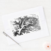 Sticker Rectangulaire Cheshire Chat caché dans un arbre (Enveloppe)